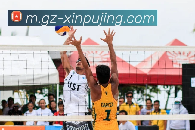 新葡京娱乐全站App 新葡京娱乐全站App